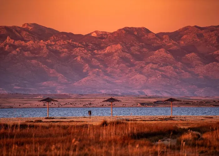 Appartement Redibo *